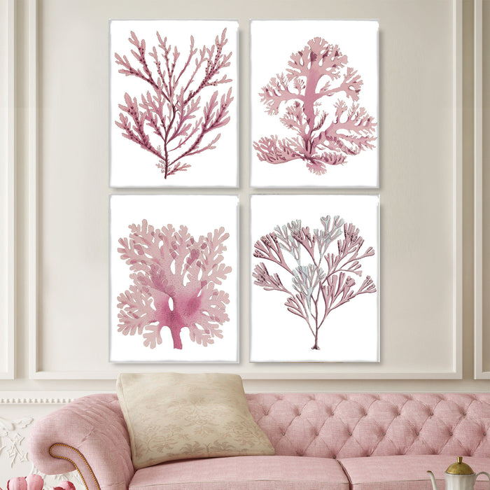 Collection - 4 Prints, Pink Corals 1 Coastal Botanical Print Canvas Art