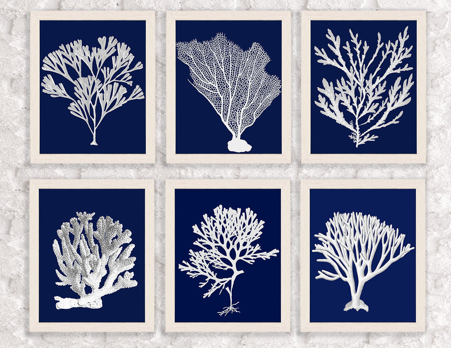 Collection - 6 Prints, Blue Corals 3 Coastal Botanical Print Canvas Art