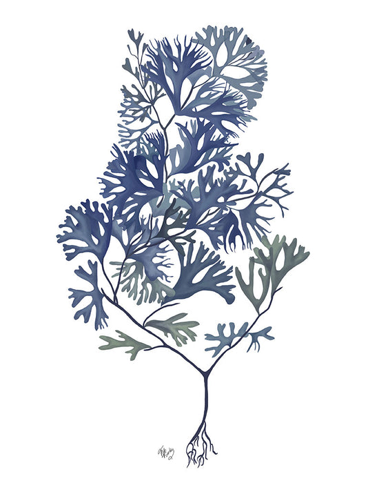 Seaweed 2 Ocean Botanical in Blue, White or Green, Nautical print, Coastal art