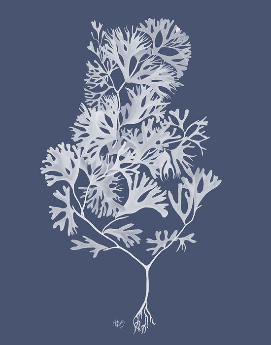 Seaweed 2 Ocean Botanical in Blue, White or Green, Nautical print, Coastal art