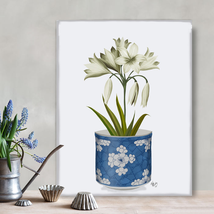 Chinoiserie Amaryllis White, Blue Vase, Art Print