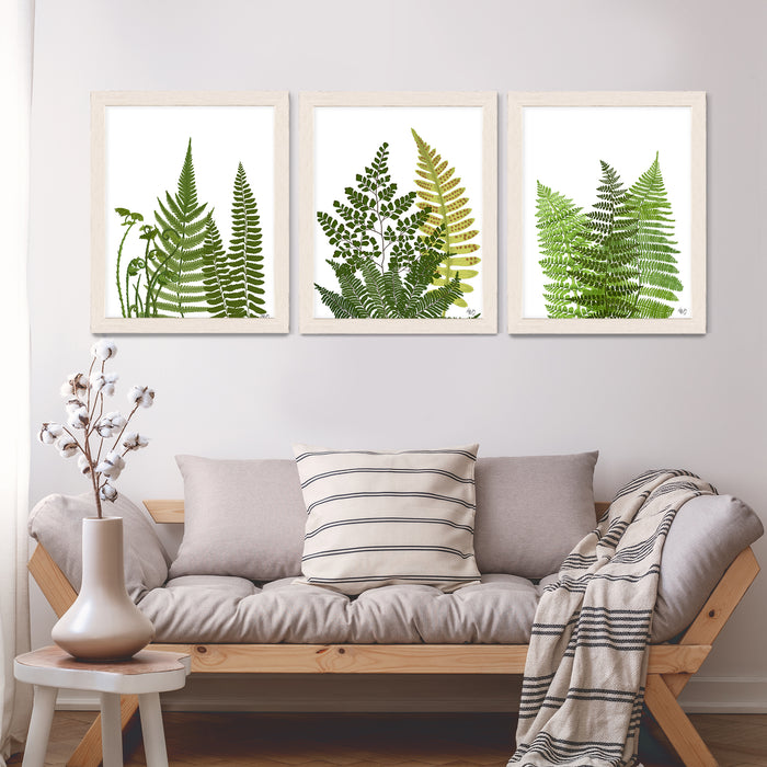 Collection - 3 Prints Fern Grove Green Leaf Botanical Art Print Wall Art