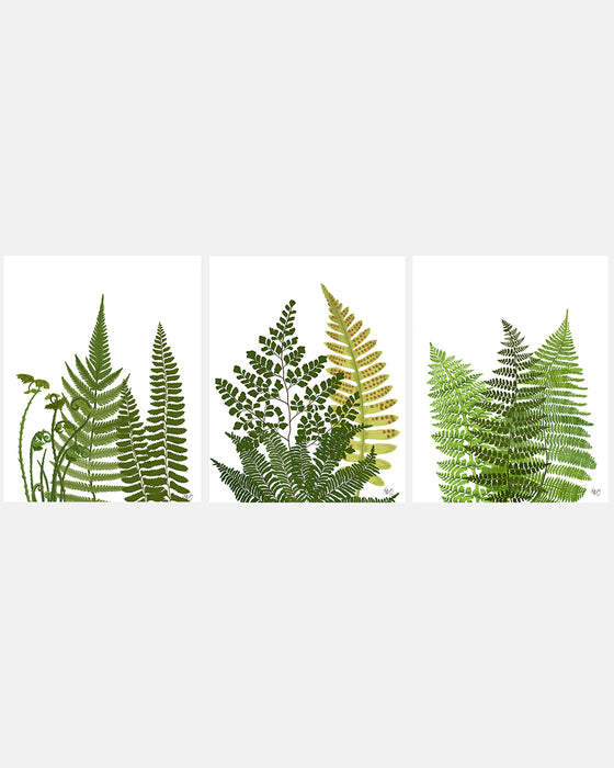 Collection - 3 Prints Fern Grove Green Leaf Botanical Art Print Wall Art