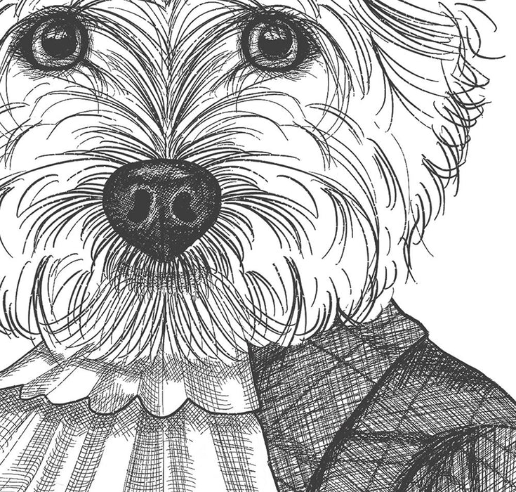 Portrait of Westie Dog In Kilt, Limited Edition Print of drawing | Canvas 18x24inch