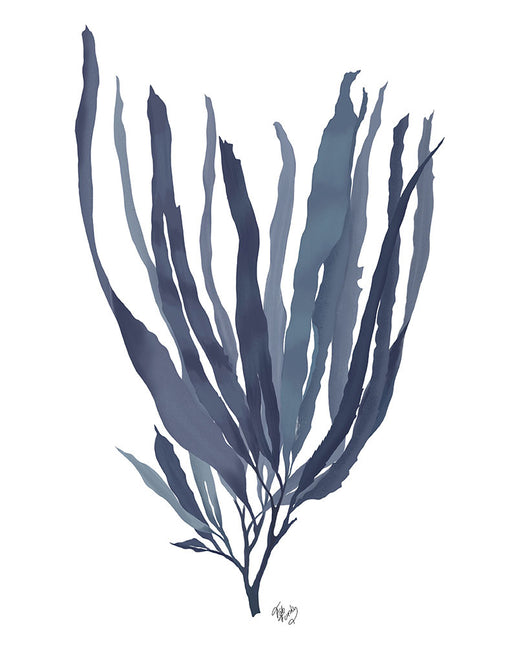 Seaweed 1 Blue