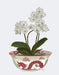 Chinoiserie Orchids White, Dragon Bowl Red, Art Print | FabFunky