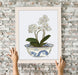 Chinoiserie Orchids White, Dragon Bowl Blue, Art Print | Print 14x11inch