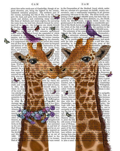 Kissing Giraffes with Birds