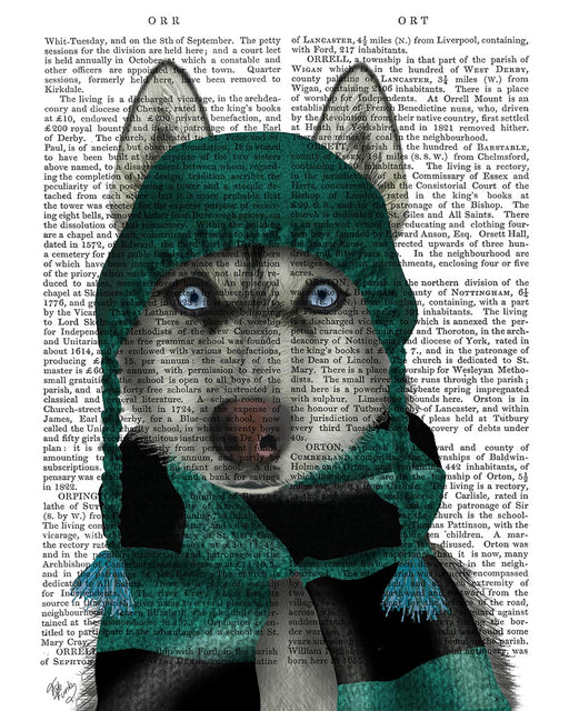 Husky in Hat and Scarf
