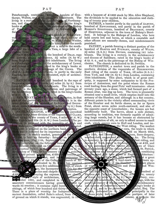 Schnauzer on Bicycle