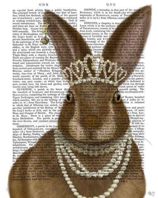 Rabbit and Pearls