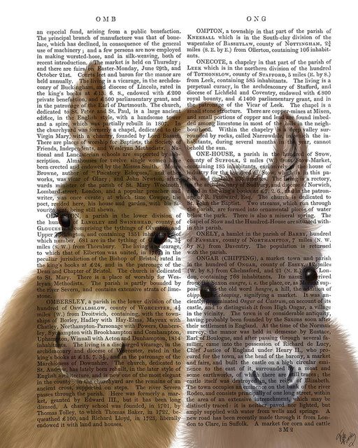 Donkey Duo