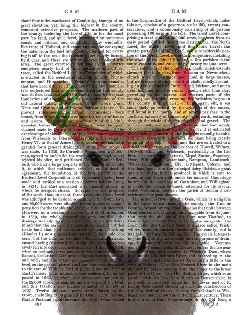 Donkey Sombrero