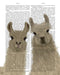 Llama Duo