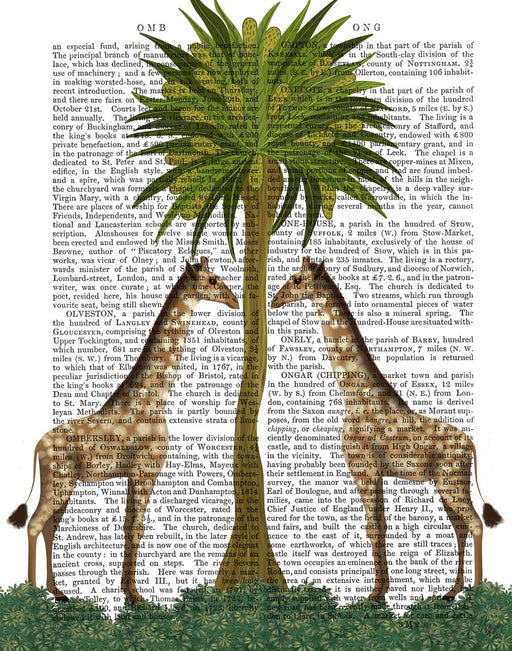 Giraffe Twins
