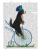 Bernese on Penny Farthing