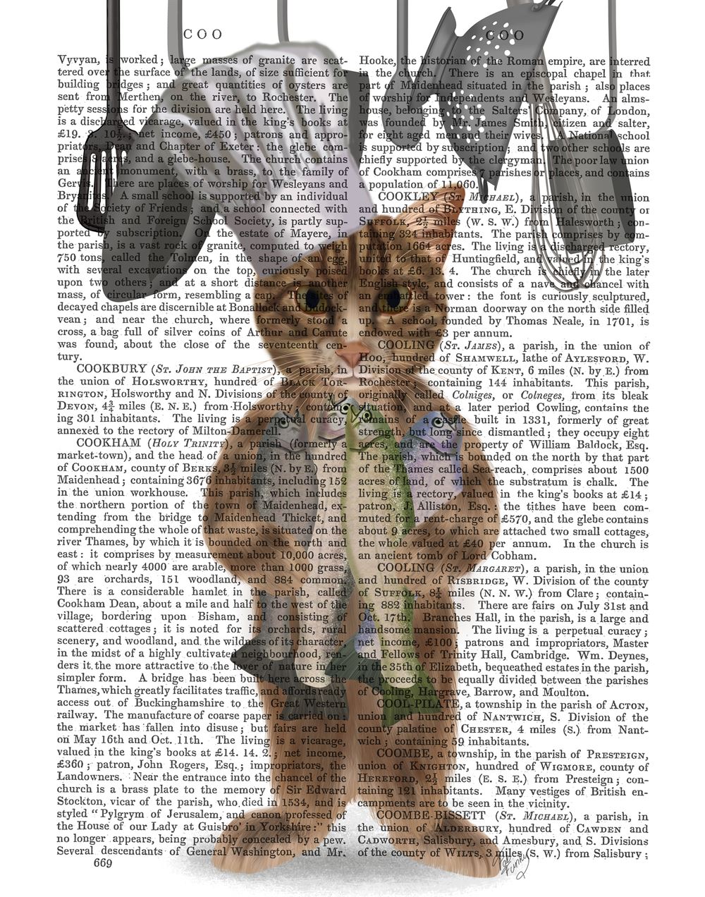 Chef Hat For Cats Tabby Cat Fish Chef, Full, Antiquarian Book Prints, Art Print, Wall Art —  FabFunky