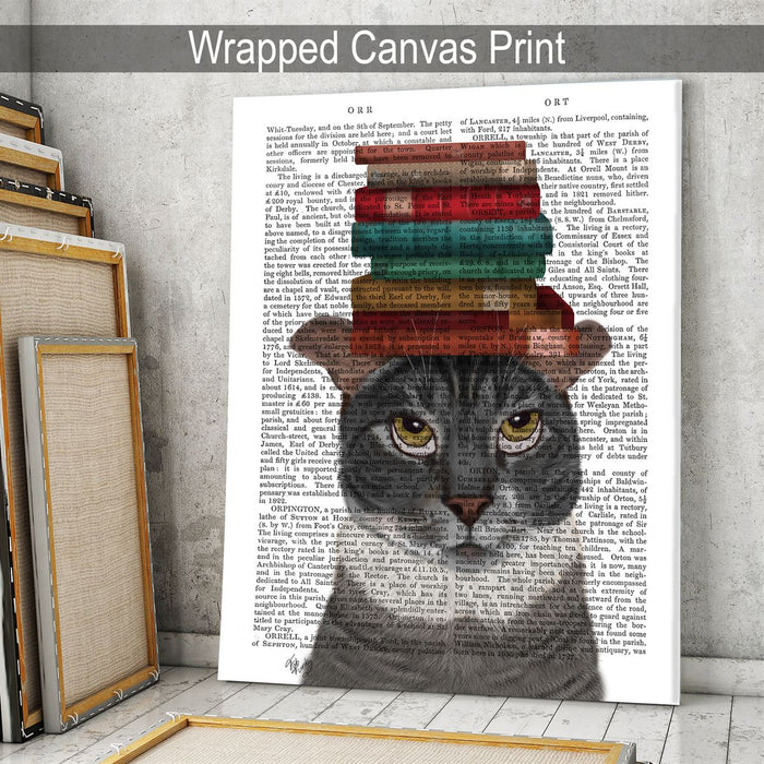 Grey Cat with Books on Head