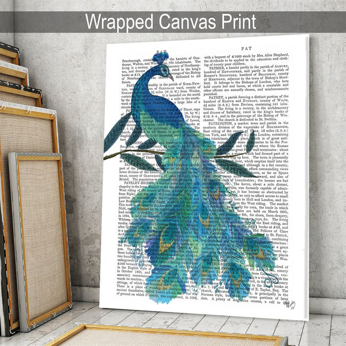 Peacock with Doodle Tail on White, Book Print, Art Print, Wall Art